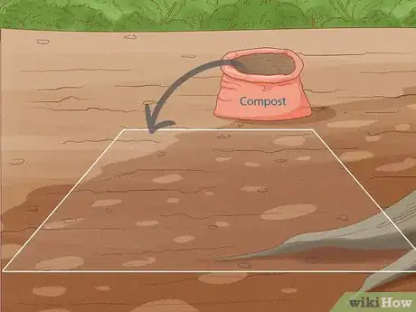 Image titled Grow Hellebore Step 3