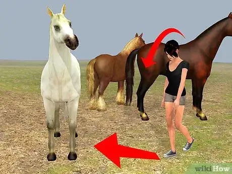 Image titled Easily Catch Your Horse Step 4