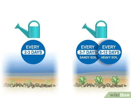 Image titled Grow Vegetables in the Southwest (USA) Step 06