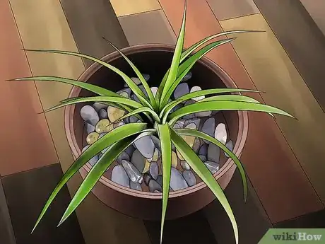 Image titled Decorate with Air Plants Step 4