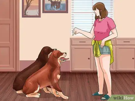 Image titled Walk Two Dogs at the Same Time on Leashes Step 2