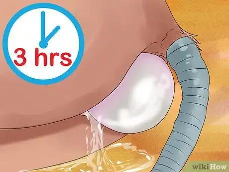 Image titled Deliver a Foal Step 19