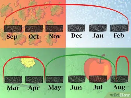 Image titled Divide Bearded Irises Step 1