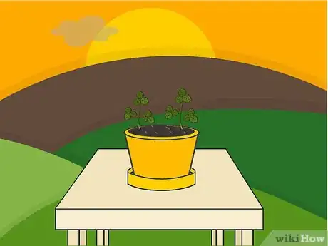 Image titled Grow Strawberries in a Pot Step 09