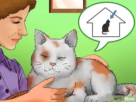 Image titled Prevent Kidney Disease in Cats Step 9