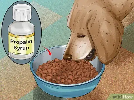 Image titled Treat Canine Incontinence Step 8