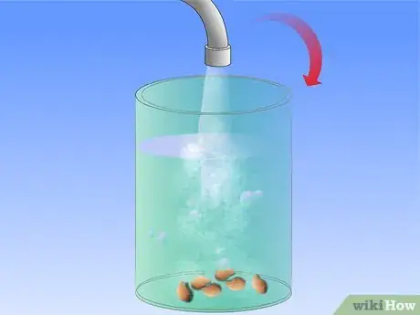 Image titled Save Watermelon Seeds for Planting Step 7