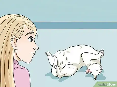 Image titled Deal with a Snoring Cat Step 2