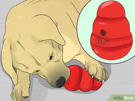 Image titled Support a Dog with Dementia Step 8