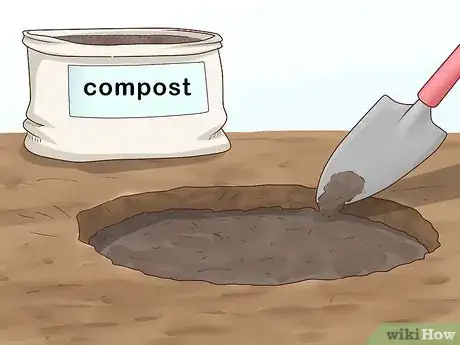 Image titled Plant Vinca Minor Step 10