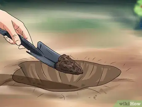 Image titled Plant Step 3