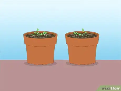 Image titled Propagate Azaleas Step 40