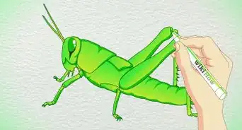 Draw a Grasshopper