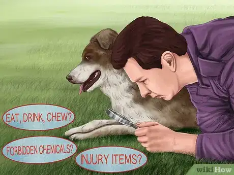 Image titled Avoid Poisoning Your Dog with Lawn Chemicals Step 8