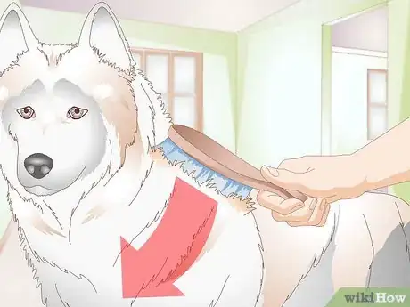 Image titled Shower a Puppy Step 15