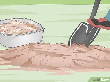 Image titled Grow Scuppernongs Step 2