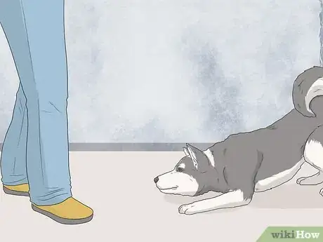 Image titled Train Seizure Alert Dogs Step 9