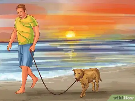 Image titled Be Prepared for Walking Your Dog Step 11