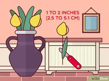 Image titled Care for Tropical Flowers Step 3
