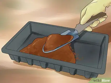 Image titled Grow Cleome Step 2