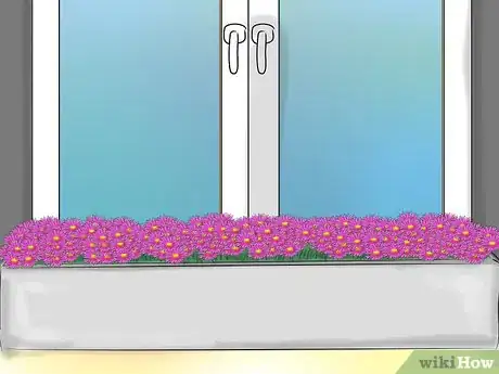 Image titled Grow Ice Plants Step 3