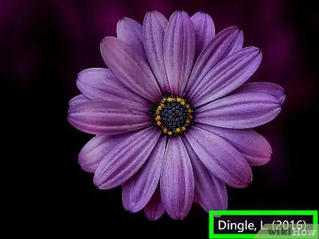 Image titled Cite Google Images Step 2