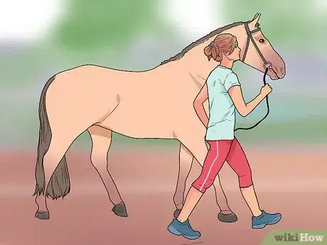 Image titled Stop a Horse Rearing Step 6