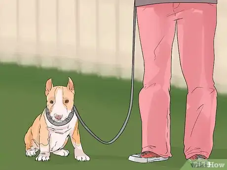 Image titled House Train Your Dog in Less than a Week Step 2