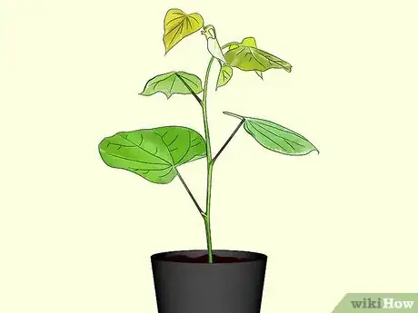 Image titled Plant Redbud Trees Step 3