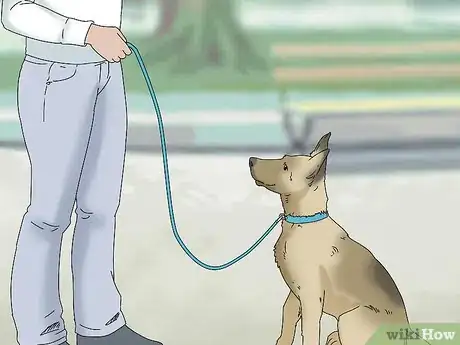 Image titled Walk a Dog on a Leash Step 11