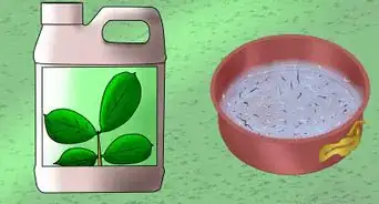 Start a Homemade Hydroponic Garden