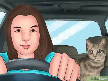 Image titled Choose a Cat‐Friendly Vacation Destination Step 9