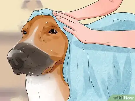 Image titled Have Fun Giving Your Dog a Flea Bath Step 9