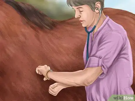 Image titled Cool a Horse Step 2