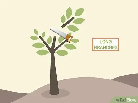 Image titled Prune Citrus Trees Step 5