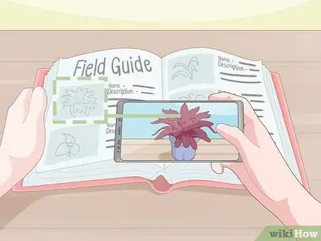Image titled Identify a Houseplant Step 7
