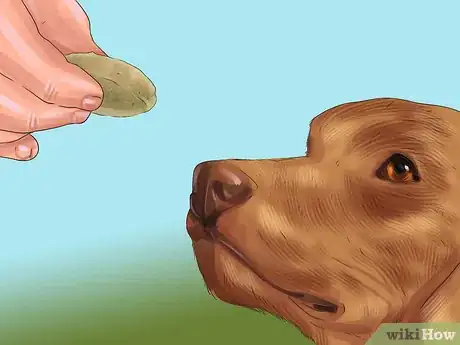 Image titled Get a Dog Out of a Busy Road Step 4