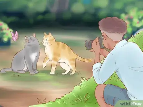 Image titled Take Action Photos of a Cat Step 13