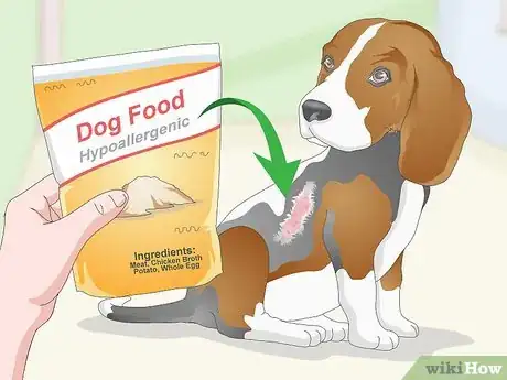Image titled Pick the Best Dog Food Step 7