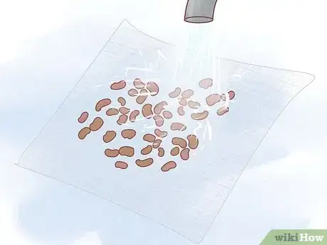 Image titled Grow Alfalfa Sprouts Step 2