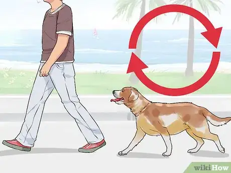 Image titled Get Your Dog to Follow You Step 4