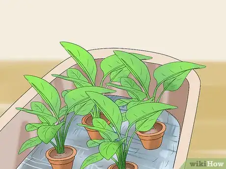 Image titled Water Plants While You're Away Step 33