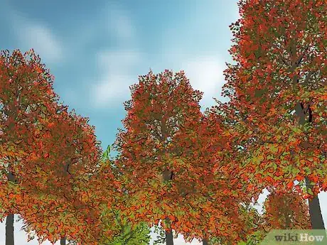 Image titled Photograph Autumn Step 14