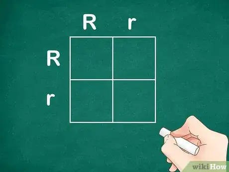 Image titled Determine Genotype Step 3