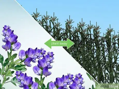 Image titled Reduce Bee Poisoning from Pesticides Step 7