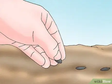 Image titled Grow Deadly Monkshood Step 3