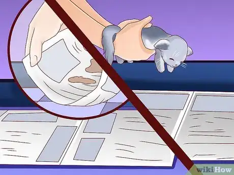 Image titled Train an Outdoor Cat to Use a Litter Box Step 6