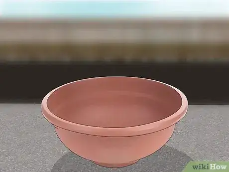 Image titled Grow English Ivy Indoors Step 1