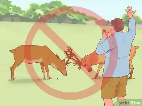 Image titled Break Up a Deer Fight Step 2