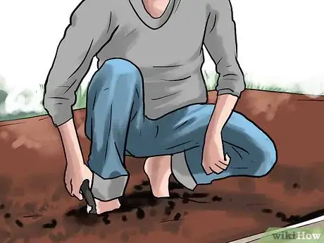 Image titled Grow Winter Onions Step 3